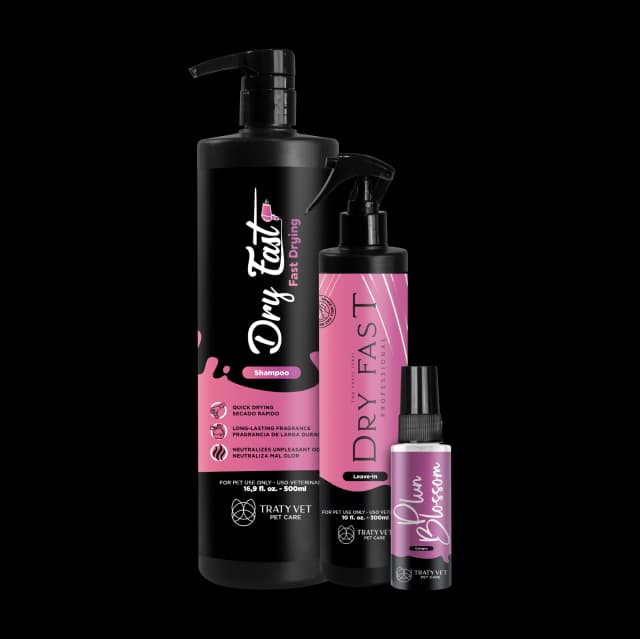 Dry Fast Shampoo 16,9 fl. oz. - Leave-in 10 fl. oz. - Plum Blossom 0,5 fl. oz. Kit