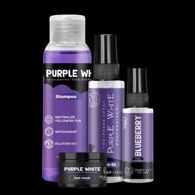 Purple White Mini Size