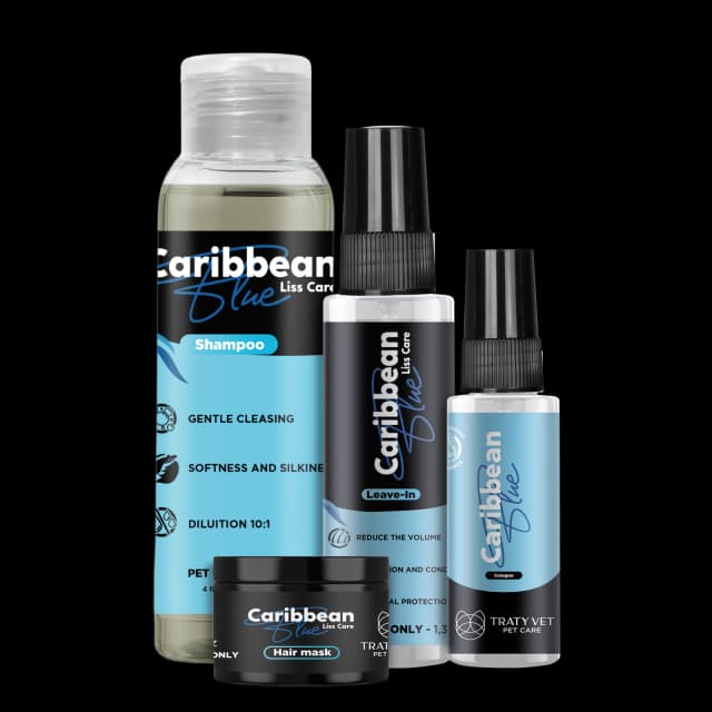 Caribbean Blue Mini Size